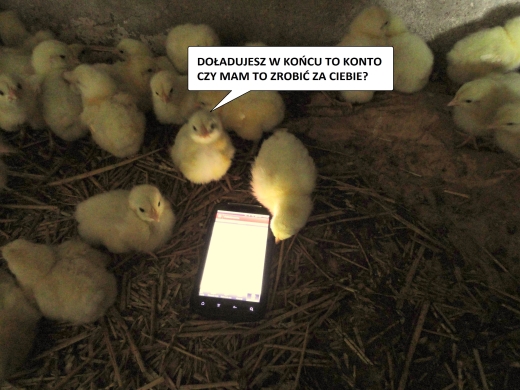 Rozstrzygnięcie V etapu - doładuj telefon w sieci Orange i wygraj iPada 2!